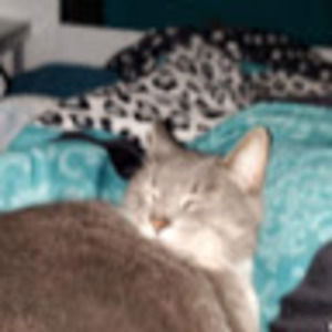 Meet your Posher, Kendall